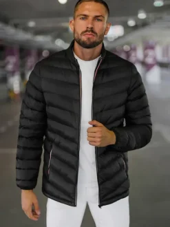 New Herren Jacke JS/SM71Z Herren Steppjacken | Übergangsjacken