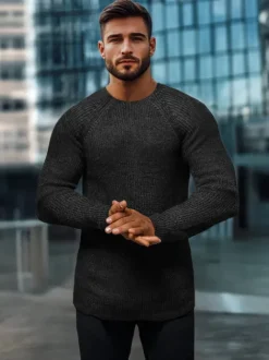 Clearance Herren Pullover L/2492Z Herren Strickpullover